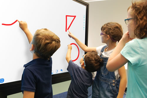 newline rs+ display for education