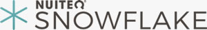 rapid-snowflake-logo