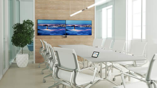 rapid-poly-zoom-room